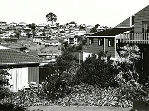 Suburban housing area at Howick (1978) (cropped)