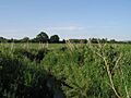 Summerham Brook - geograph.org.uk - 184390