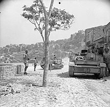 The British Army in Sicily 1943 NA5387
