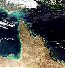 The Great Barrier Reef, Australia - Envisat
