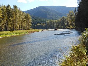 The North Fork of the Coeur D'Alene River (25571221527).jpg