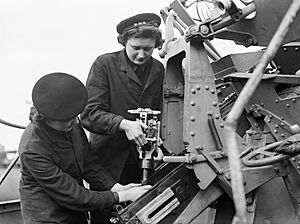 The Women's Royal Naval Service during the Second World War A15161