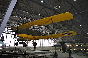 Tiger Moth (5781091285)