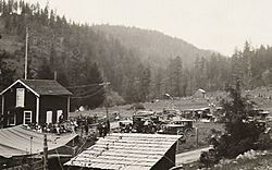 Tiller Ranger Station picnic, 1928