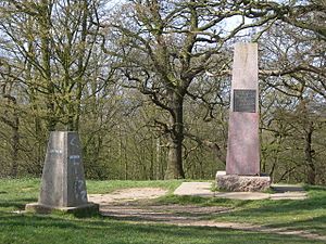 Trig Point and Obelisk, Pole Hill, Chingford - geograph.org.uk - 390420
