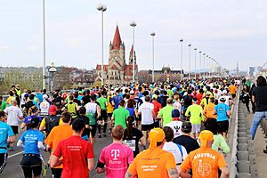 Vienna City Marathon 2015 - Reichsbrücke (1)