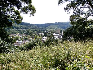 ViewFromBamptonCastleDevon