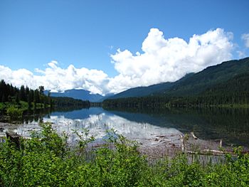 Wide Slocan River - panoramio.jpg