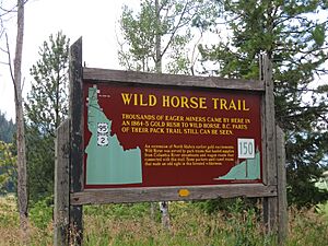 Wild Horse Trail, Idaho State Historical Marker No. 150, Bonners Ferry, Idaho (51299839109)
