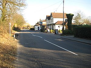 Willey Green, A323 Guildford Road and The Duke of Normandy PH - geograph.org.uk - 697917