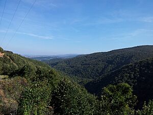 Üvezpınar, 77400 Termal-Yalova, Turkey - panoramio (3)