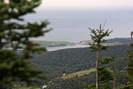 20140831 Bay St. Lawrence from Wilkie Sugar Loaf 2.jpg