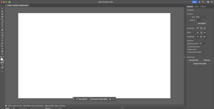 Adobe Illustrator 29.3 on macOS Sequoia.png