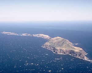 Anacapa-Island-Aerial