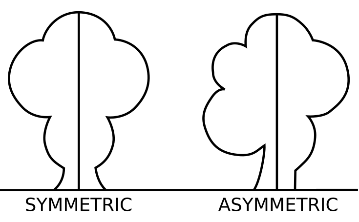 image-asymmetric-psf