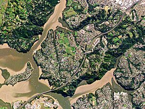 Auckland, New Zealand by Planet Labs (Greenhithe)