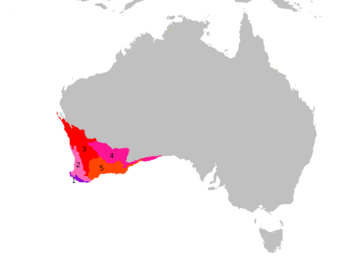 Australia-ecoregions SW subdivisions