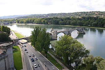 Avignon bridge by Rosier