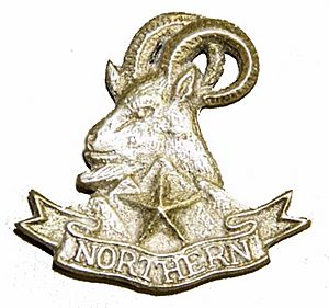 Badge of Northern Light Infantry