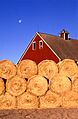 Bales of hay