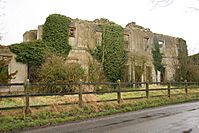 A ruined building with ivy growing on the walls
