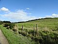 Bestwood Country-park vista 6512