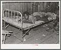Boy resting on bed in attic of sharecropper shack, New Madrid County, Missouri