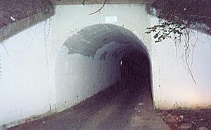 Bunnyman bridge night