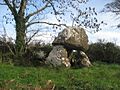 Burial Chamber (dolmen) - geograph.org.uk - 1025366