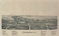 Caledonia, New York aerial2