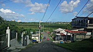 Main road in Mata de Platano