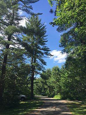 Campground, Hartwick Pines State Park