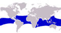 Caranx lugubris distribution