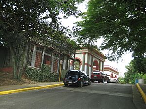 Cementerio Mayaguez