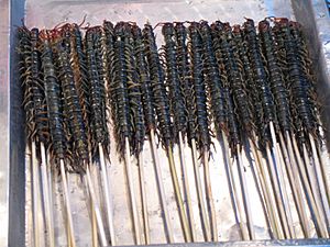 Centipedes as street food