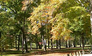 Central Park trees Ashland KY Oct 2006