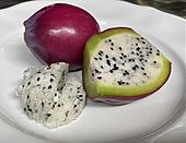 Cereus Peruvianus Fruit