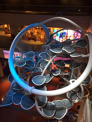Climbing course at Liberty Science Center