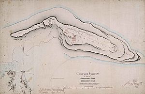 Contour survey of part of Barrenjoey Head, Broken Bay - showing position of proposed lighthouse, 1877