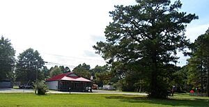 Corner of Fentress and Blue Ridge