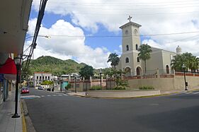 Corozal, 00783, Puerto Rico - panoramio (11)