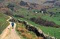 Descending the farm track from Whiteside End into Kentmere - geograph.org.uk - 1012554