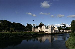 Desmond castle (js)