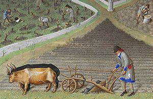 Detail of Les tres riches heures - March