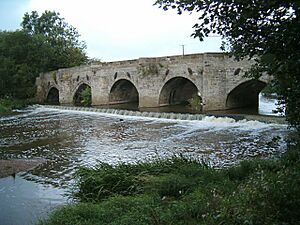 Dove bridge 231394 40b11970
