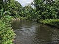 Dowagiac River Pokagon Township Michigan