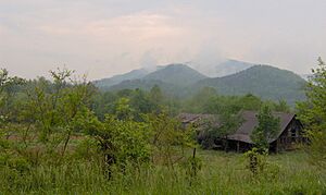 Dr-stonemountainbarn2