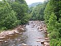 Dry Fork Cheat River West Virginia