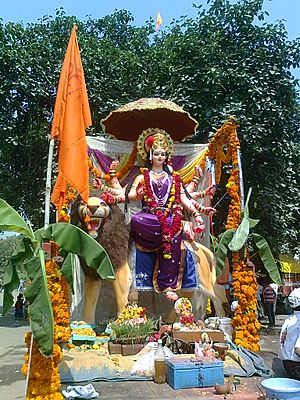 Durga Visarjan 13