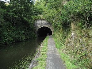 Entrance to Falkirk Tunnel - geograph.org.uk - 1446255